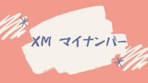 【解決】XMでマイナンバーの提出は不要！「いいえ」と答えても大丈夫です